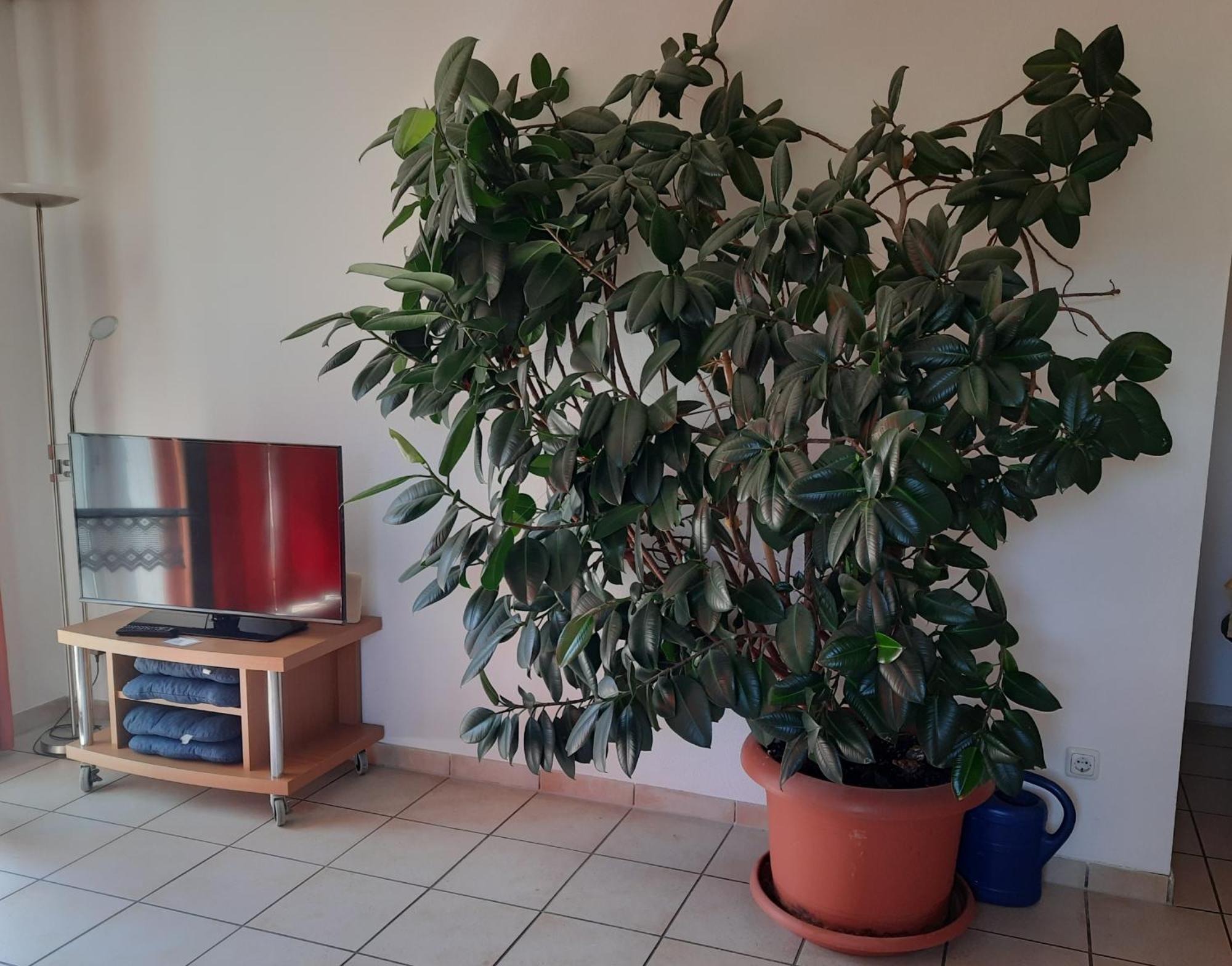 Ferienwohnung Ferstl Riedenburg Exteriér fotografie